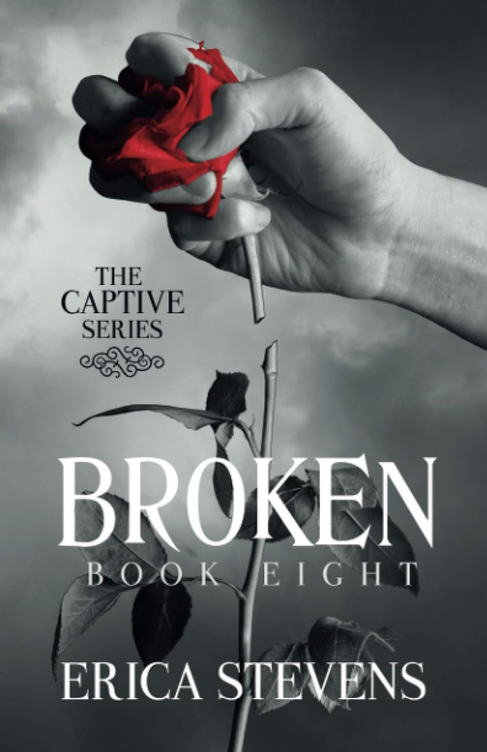 Broken ;-Paperback Ð by  Erica Stevens