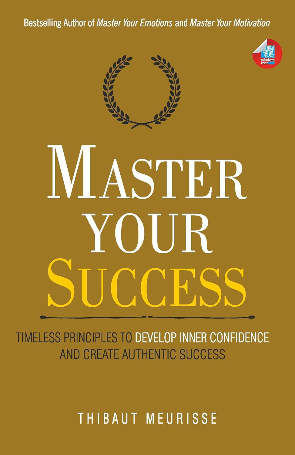 Master Your Success:  -PaperbackÐ by Thibaut Meurisse